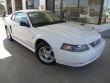 2004 Ford Mustang