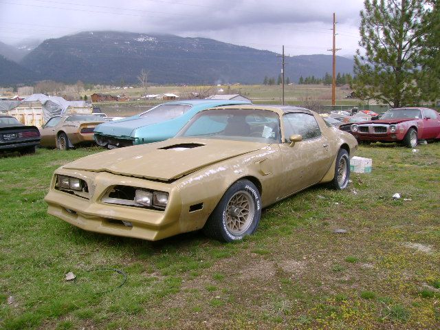 1978 Pontiac Firebird
