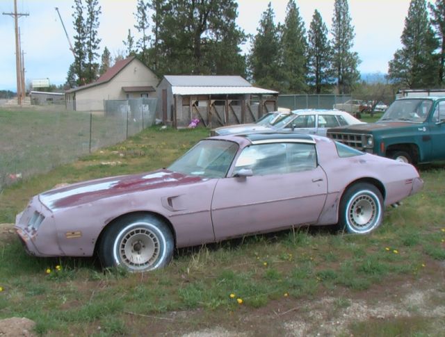 1981 Pontiac Trans Am