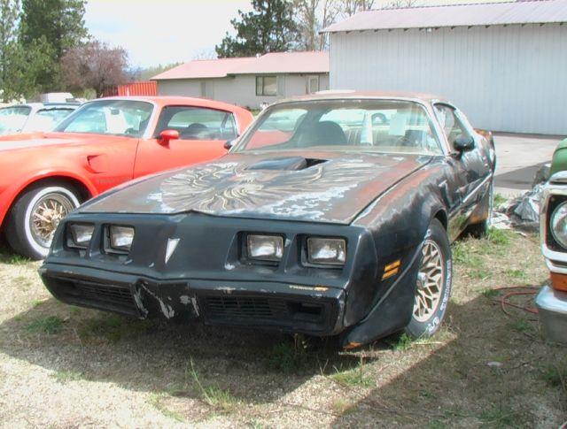 1979 Pontiac Trans Am