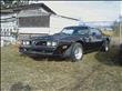 1977 Pontiac Firebird