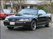 2003 Ford Mustang