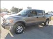 2010 Ford F150