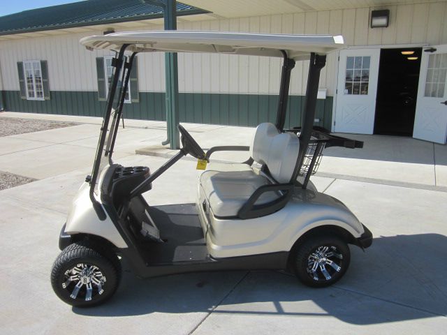2008 Yamaha Electric