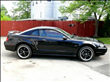 2000 Ford Mustang