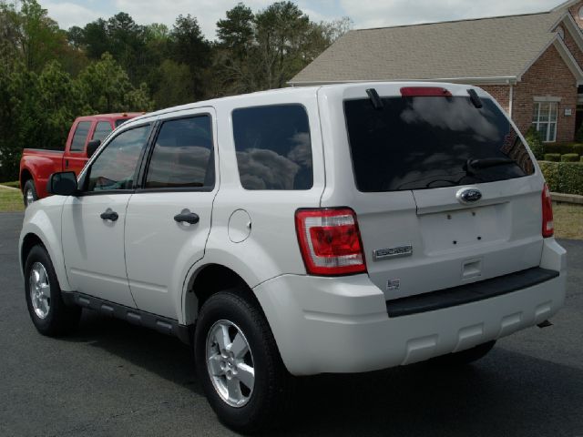 2010 Ford Escape