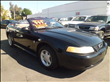 1999 Ford Mustang