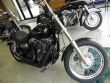 2008 Harley Davidson Street Bob