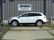 2010 Mazda CX-9