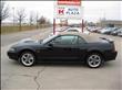 2002 Ford Mustang