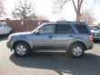2010 Ford Escape