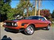 1973 Ford MUSTANG