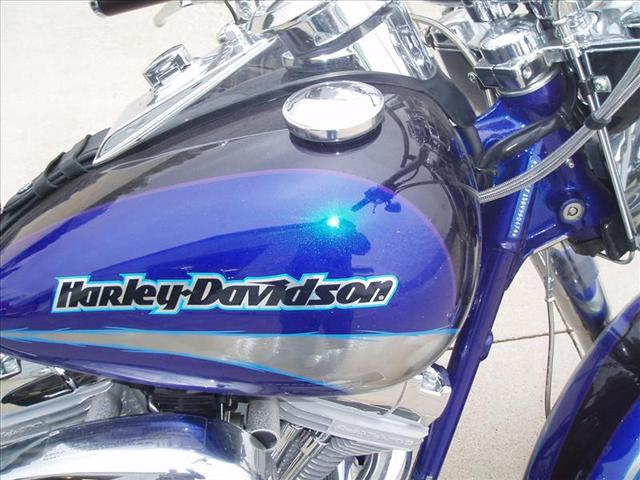 2005 Harley Davidson Softail for sale