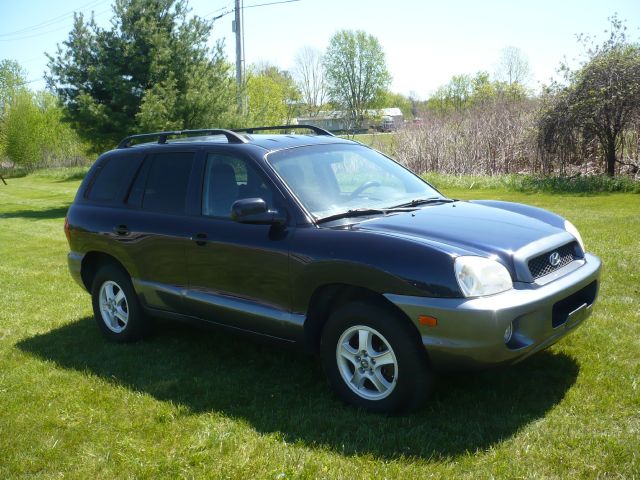2004 Hyundai Santa Fe for sale