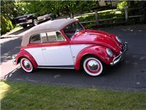 1956 Volkswagen beetle cab conv for sale