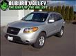 2008 Hyundai Santa Fe