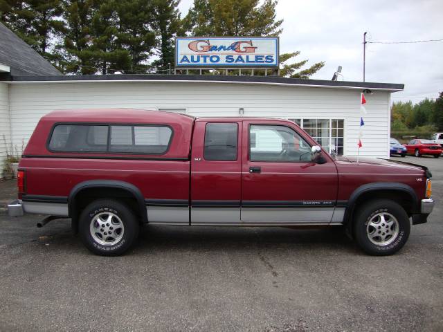1996 Dodge Dakota for sale
