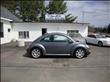 2002 Volkswagen New Beetle