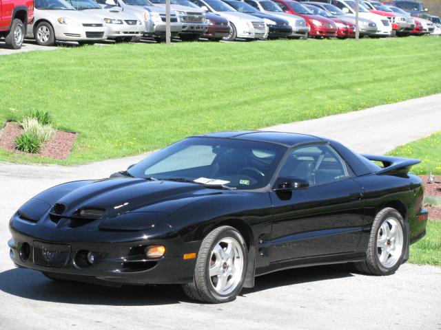 2002 Pontiac Firebird Trans Am Ws6. 2002 Pontiac Firebird Trans Am
