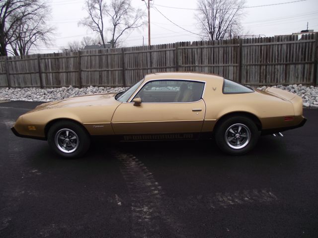 1979 Pontiac Firebird for sale