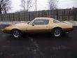 1979 Pontiac Firebird
