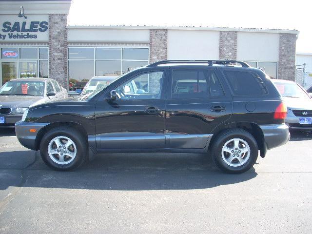 2004 Hyundai Santa Fe for sale
