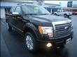 2009 Ford F150