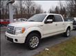 2009 Ford F150