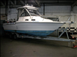 1993 Bayliner 24' Trophy